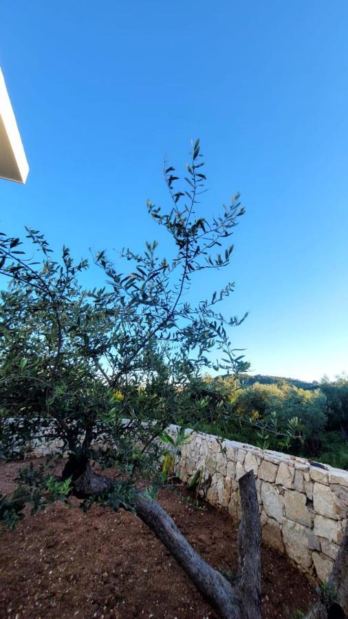 Sweet Home Himara المظهر الخارجي الصورة